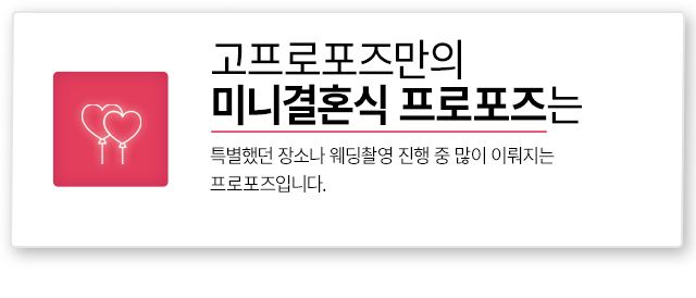 미니결혼식 프로포즈 - 고프로포즈 안내