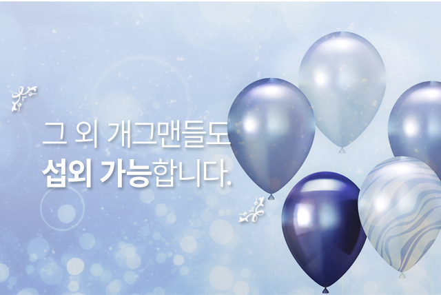 결혼식 사회 - 고프로포즈 안내